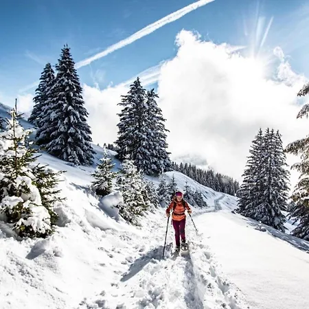 Les Rennes Ren Mountain & Nature 10 Pers Chalet *