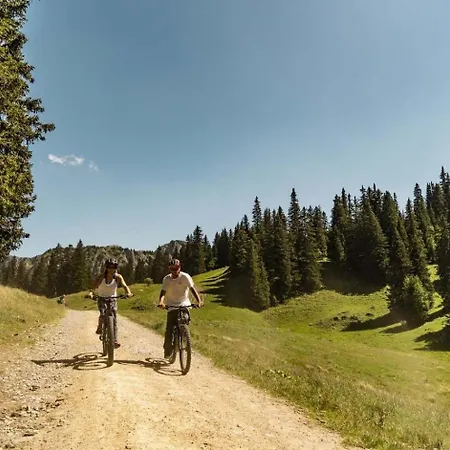 Les Rennes Ren Mountain & Nature 10 Pers Chalet Chatel